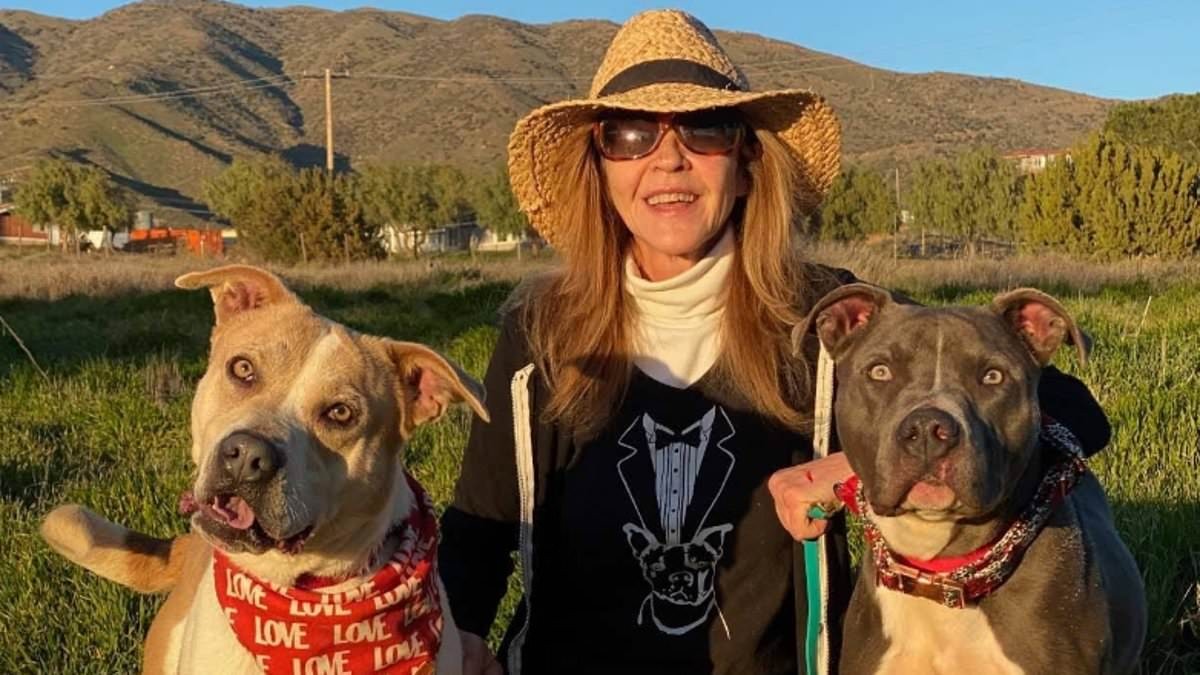 Exorcist icon Linda Blair's dog rescue raid drama continues as officials order veterinary care for three pups