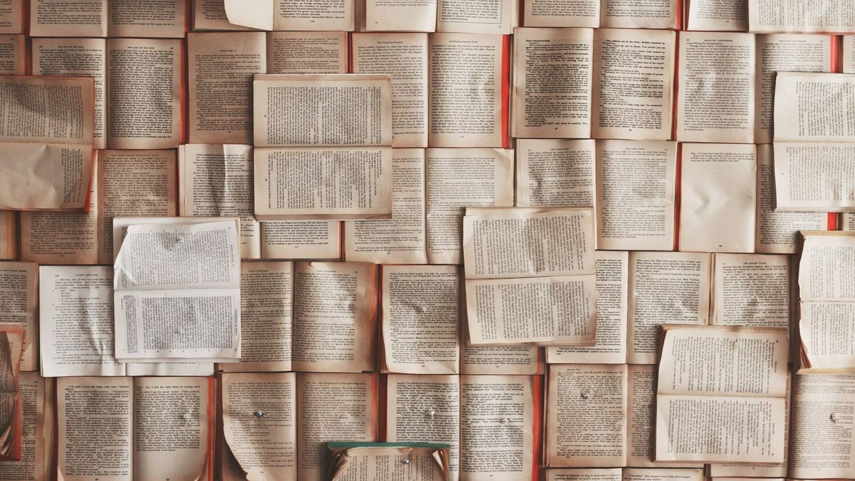 'Unlicensed, unrestricted AI training could destroy the ecosystem for books' — quote of the day by the Authors Guild on the sourcing of training data