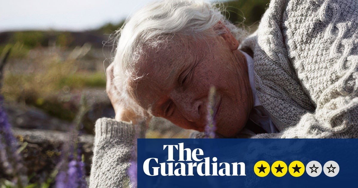 The Summer Book review – Glenn Close powers sweet-natured take on Tove Jansson’s kids’ classic