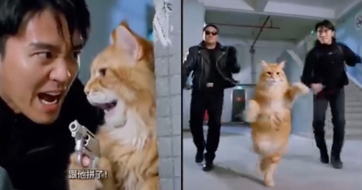 AI is Killing Off Chinese Microdramas