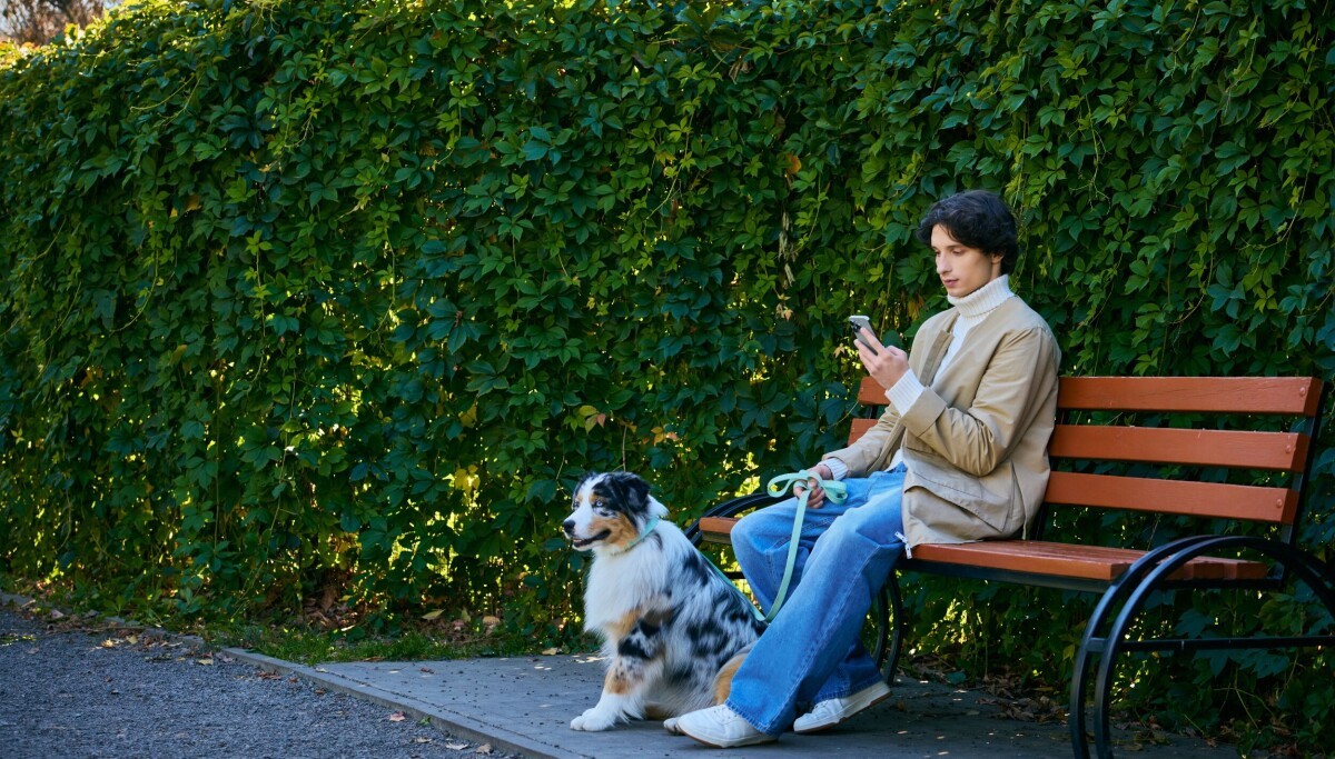 Stopping a cyberattack while walking your dog - defensive AI security CEO says it's not ruff to do