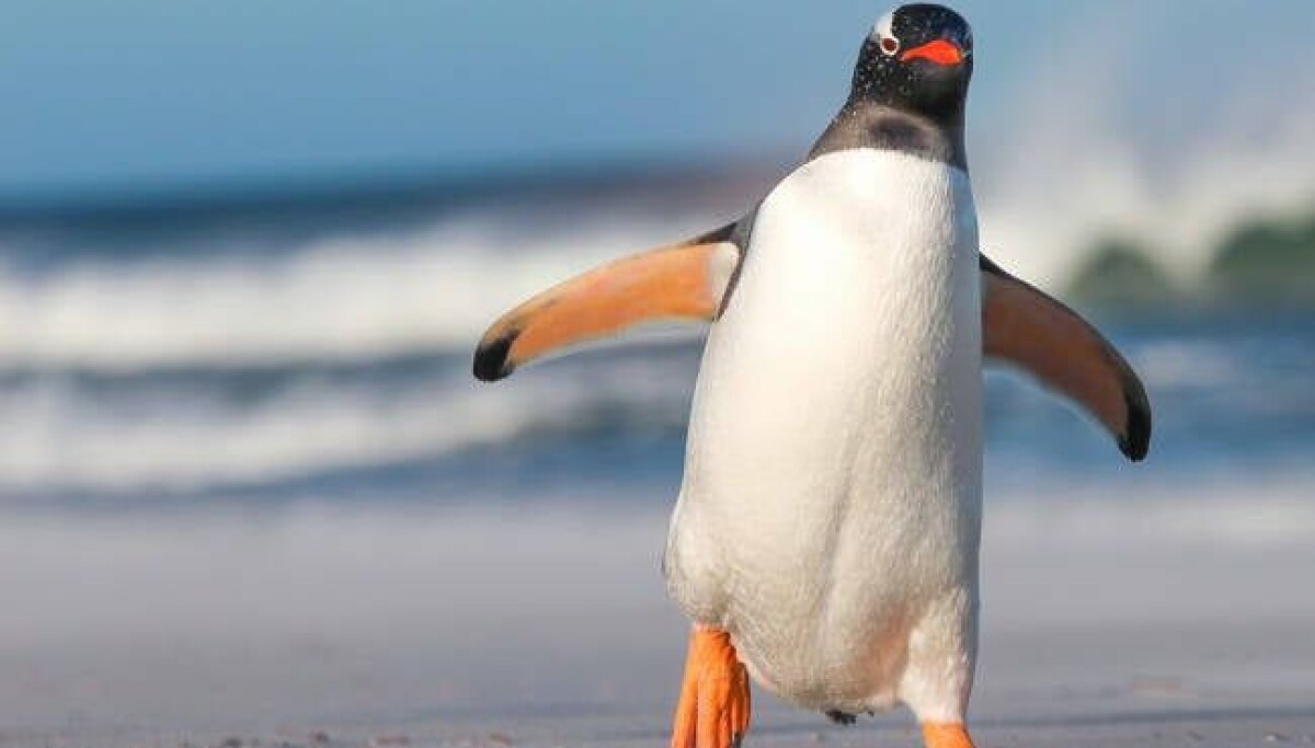 Linus Torvalds says AI has made 'huge' Linux kernel updates the new normal