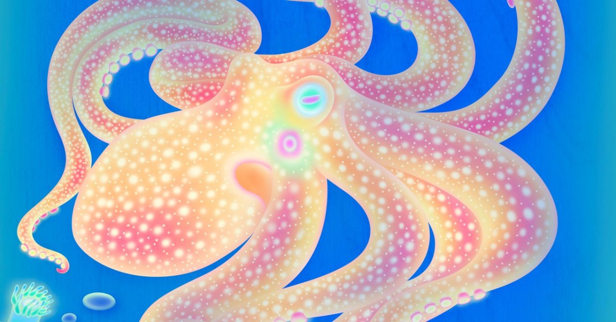Why Each Octopus Arm Has a Mind of Its Own
