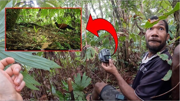 A Camera Trap Rediscovered a Bird Lost to Science for 140 Years