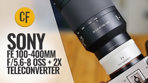 Bird and Wildlife Reach on a Budget: A Review of the Sony FE 100-400 f/5.6-8