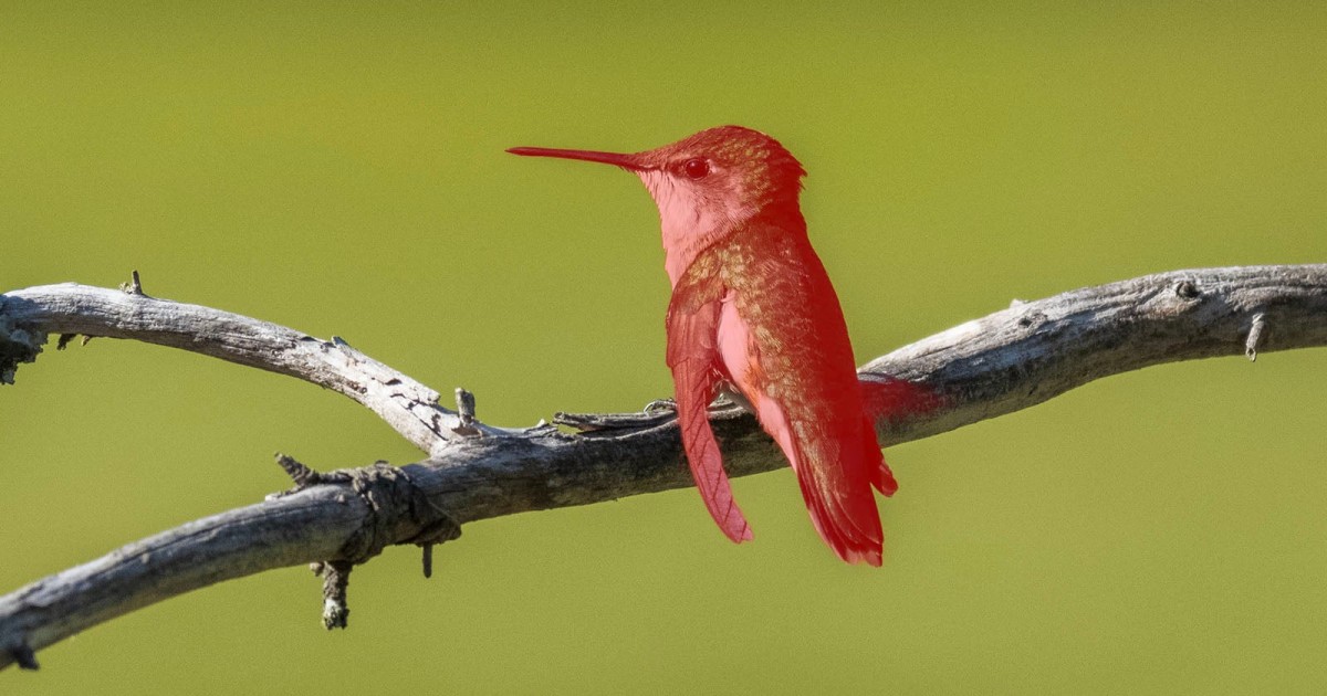Lightroom’s Masking Just Got Much Better