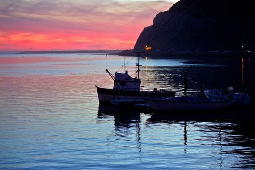 How NYIP’s Professional Photography Program Made Me Better at Both Film and Digital