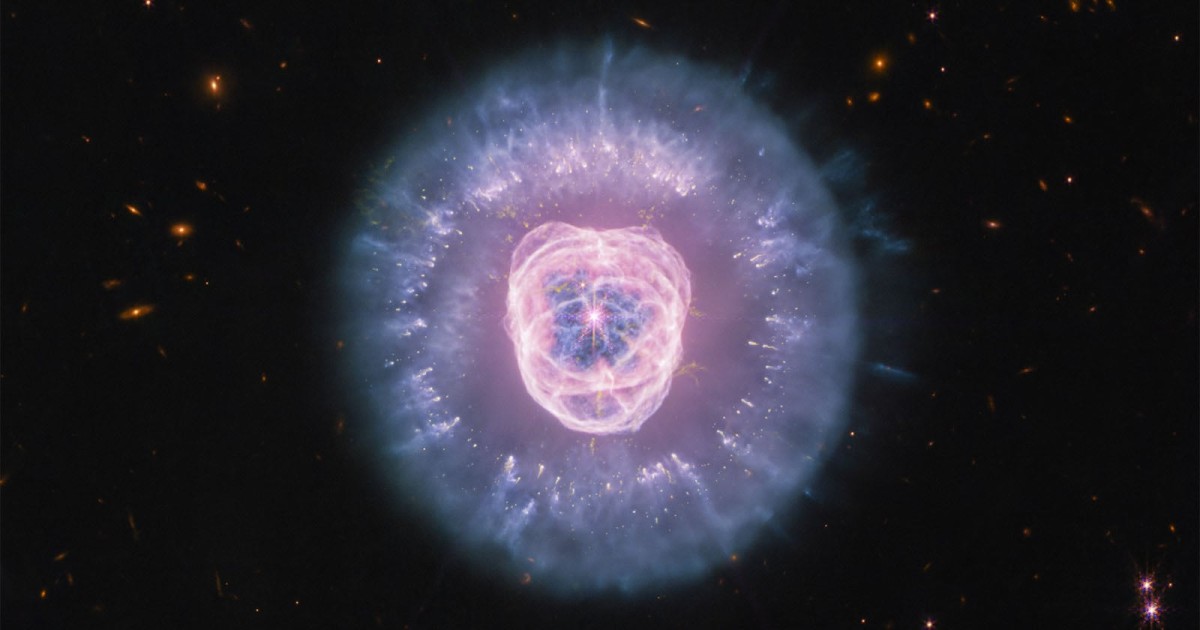 Webb Space Telescope Helps a Cosmic Lion Roar Life