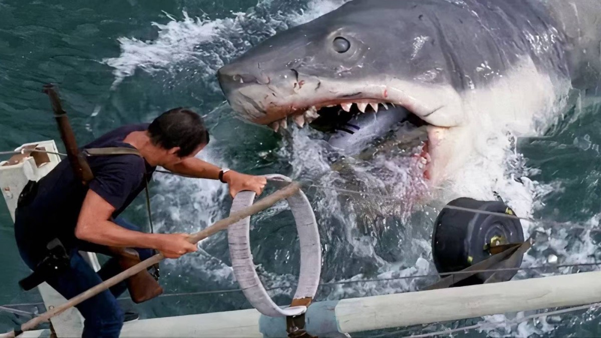 The Best Shark Movie Since Jaws Is Now Streaming On Netflix