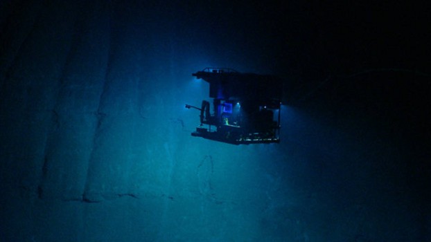 How Scientists Photograph the Deep Sea, Miles From Where the Sun Shines