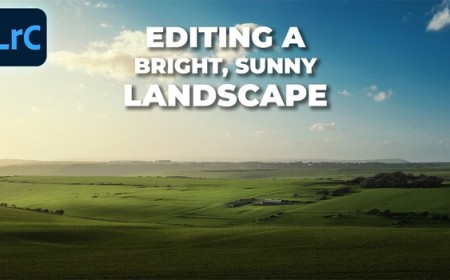 How to Edit Harsh Midday Sun in Lightroom Classic