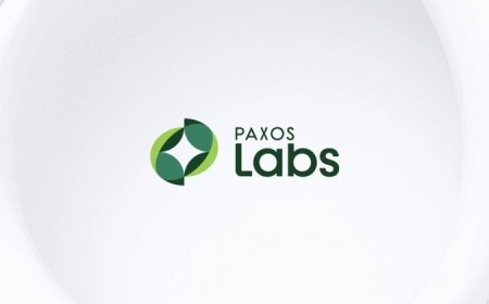 Paxos stablecoins USDG and PYUSD add $314M in market cap across chains