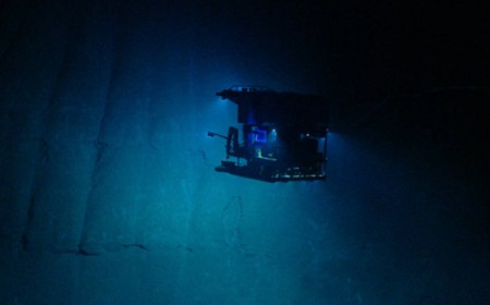 How Scientists Photograph the Deep Sea, Miles From Where the Sun Shines