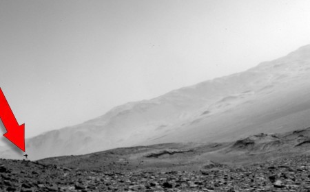 Alien Jellyfish or Camera Glitch? Experts Debate Odd Photo Taken on Mars