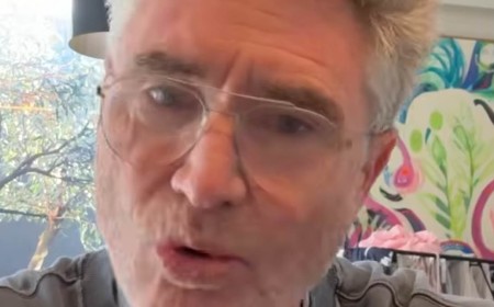 Dave Hughes admits he has lost work after speaking out against Anthony Albanese and the Victorian Labor government