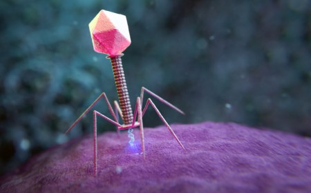 Large genome models used to design new viruses