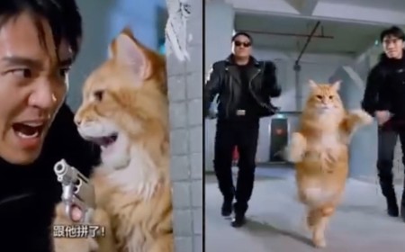 AI is Killing Off Chinese Microdramas