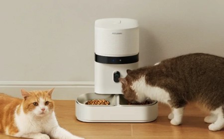 Petlibro accused of “gaslighting” users over smart pet feeder outage