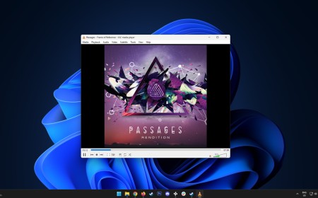 Devs blame Windows for VLC media player bug that causes 33-second delay when playing MP3 files — creators allege Microsoft Defender blocking plugin cache is to blame