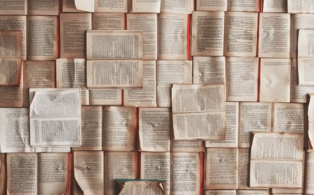 'Unlicensed, unrestricted AI training could destroy the ecosystem for books' — quote of the day by the Authors Guild on the sourcing of training data