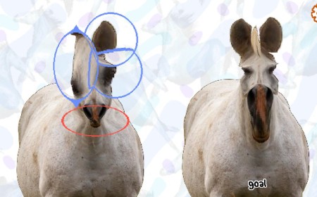 This week's most compelling new Steam game is Horse Magnifier, which is about magnifying horses