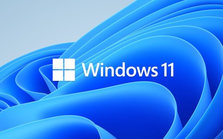 VPN provider built a script to block Microsoft's hidden GDID tracking on Windows — Windscribe's "deGDID" erases existing identifiers and blocks new ones from being created