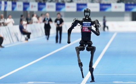 ‘Groundbreaking technology often enters the market at a premium before scaling’: Touch-sensitive e-skin could soon be commonplace in robotics