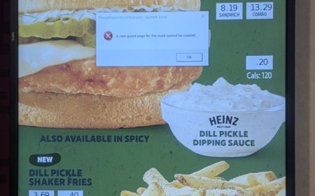 Everything is better with pickles... except Windows