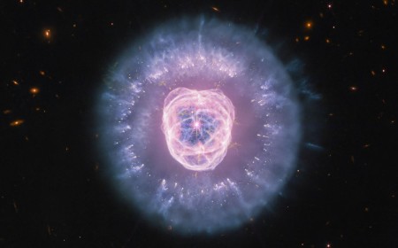 Webb Space Telescope Helps a Cosmic Lion Roar Life