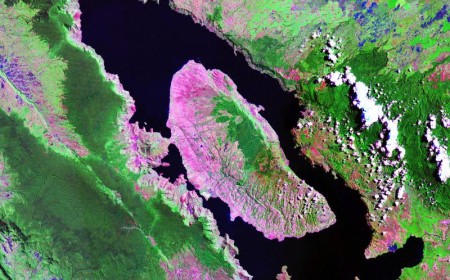 Mount Toba eruption doesn't seem like it could nearly kill our species