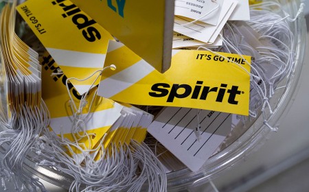 Flight attendants freaked out that Google is buying tons of Spirit employee data