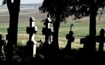Microsoft tosses Teams Live chat into its feature graveyard