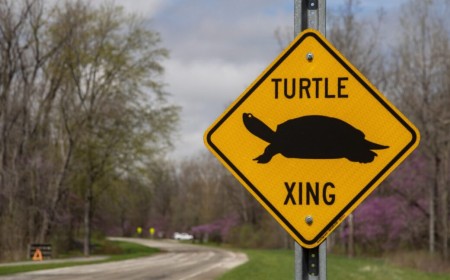 FCC abolishes gigabit speed goal, suggesting it is unfair to slower technologies
