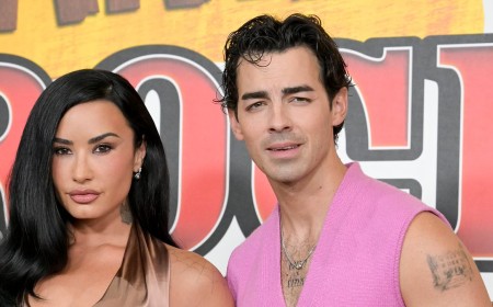 Demi Lovato has a friendly reunion with ex-boyfriend Joe Jonas at the premiere of Camp Rock 3