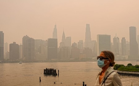 Wildfire smoke now bigger prenatal threat than human sources of air pollution