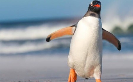 Linus Torvalds says AI has made 'huge' Linux kernel updates the new normal