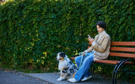 Stopping a cyberattack while walking your dog - defensive AI security CEO says it's not ruff to do