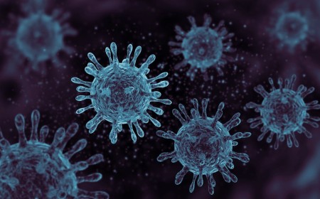 AI creates 16 new viruses that never existed in nature after learning DNA’s pattern from 9 trillion nucleotides — experts warn such applications are way ahead of necessary guardrails