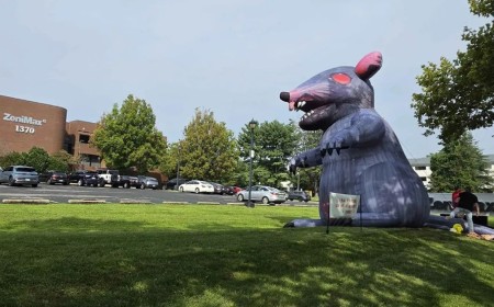 As Xbox head Asha Sharma reportedly visits Bethesda HQ, workers put up red flags representing laid off staff and a giant inflatable rat outside