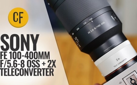 Bird and Wildlife Reach on a Budget: A Review of the Sony FE 100-400 f/5.6-8