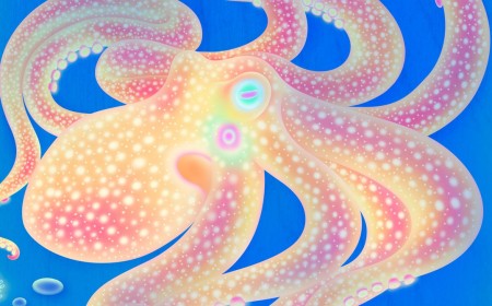 Why Each Octopus Arm Has a Mind of Its Own