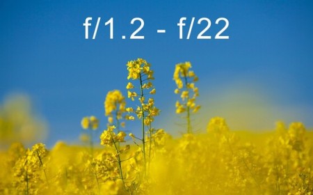 Why f/22 Might Be Ruining Your Sharpest Shots