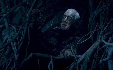 Game Of Thrones: Raven's Choice Officially Bringing Back Bran Stark