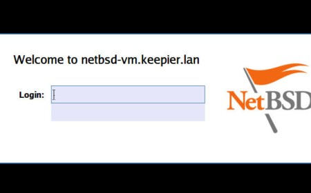 NetBSD 11 lands with RISC-V support and lightning-fast VM boots