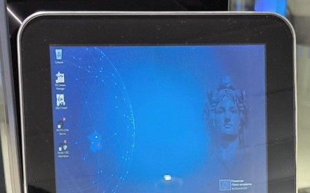 Passport out-of-control at French airport
