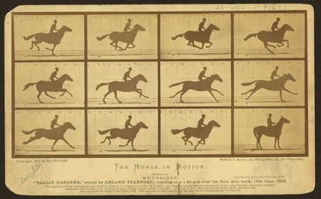 Murder, Movies, and Horses: The Strange Life of the Man Who Made Photographs Move