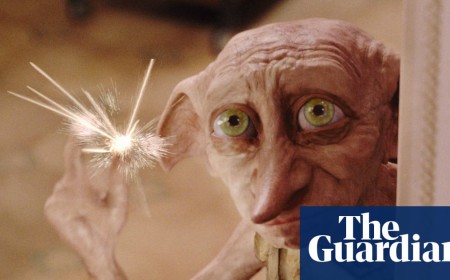 Harry Potter fans force relocation of £430m undersea cable to avoid Dobby’s ‘grave’