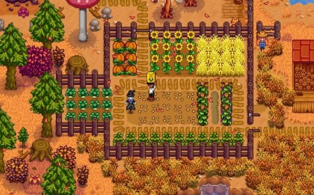 11 Replay Ideas to Make Stardew Valley Feel New Again