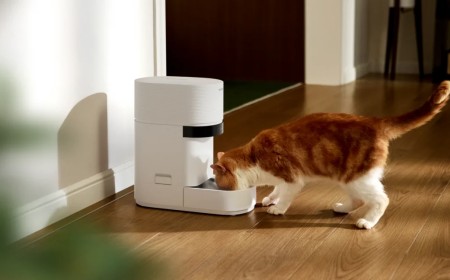 Pet owners say smart pet feeder outage led to furry ones going unfed