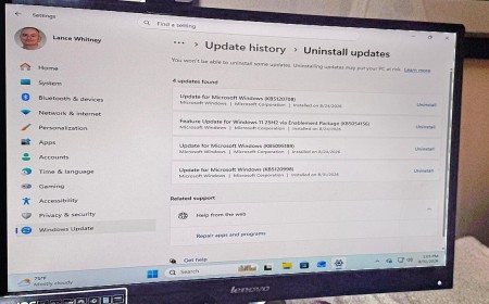 Microsoft's latest Windows update breaks cursors, wallpaper, and more - what to do if you're affected